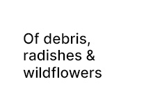 Of debris, radishes and wildflowers, 2020